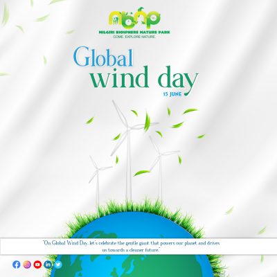 Global wind day 2024