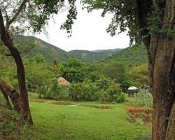 nilgiri-biosphere-nature-park-alandurai-coimbatore-amusement-parks-113vrzw